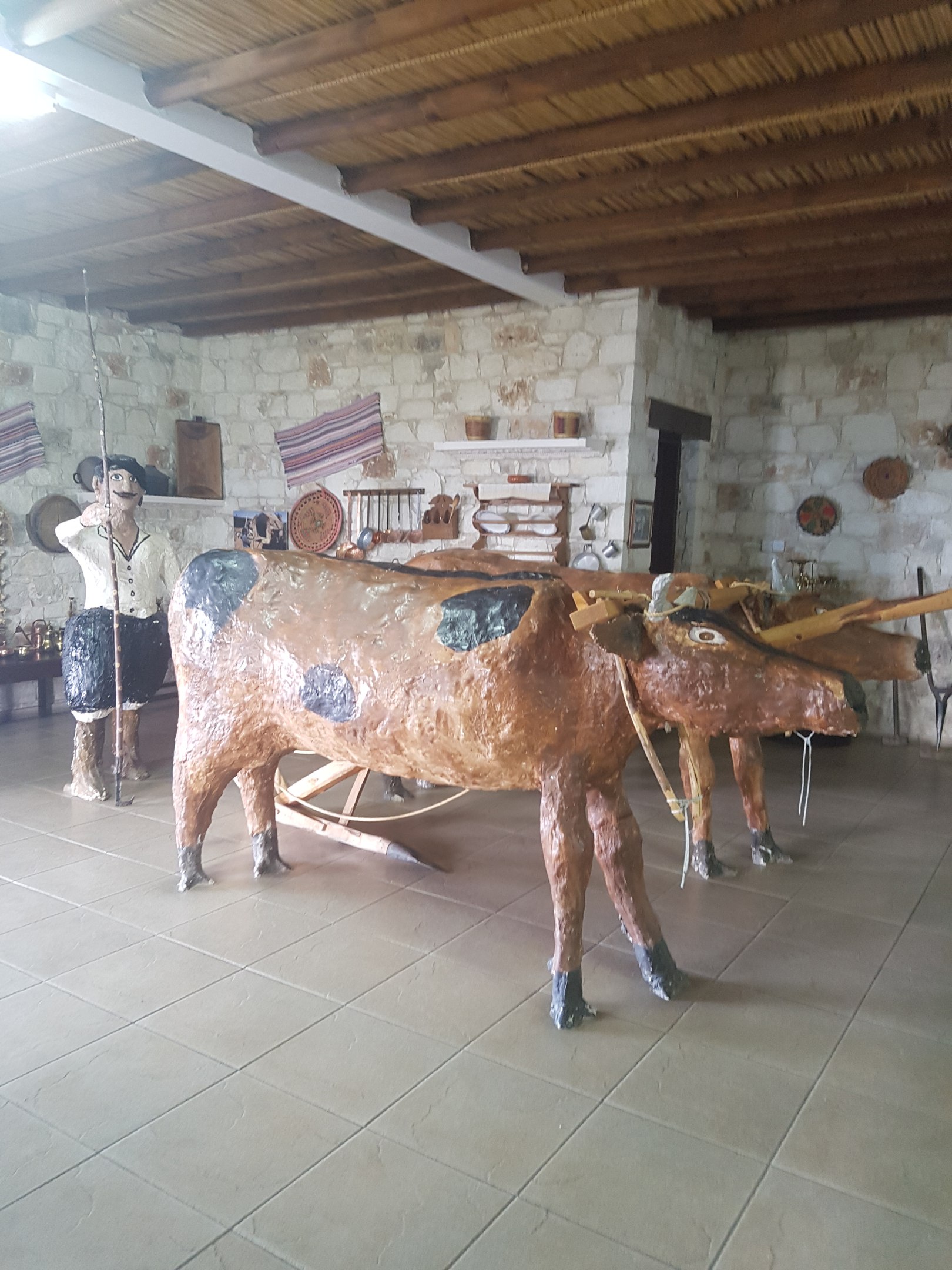 two Cow statues in a room